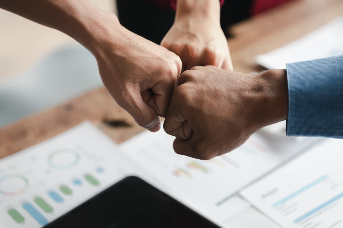 Coentreprises : Naviguer dans les eaux tumultueuses des litiges