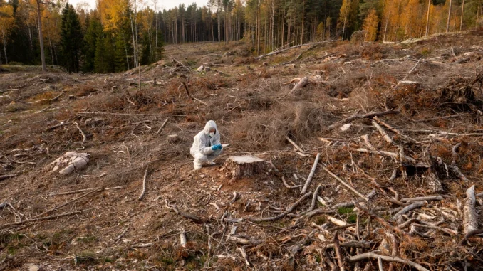 la-deforestation-un-